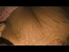 Nô ses nhat ban lệ-đúc